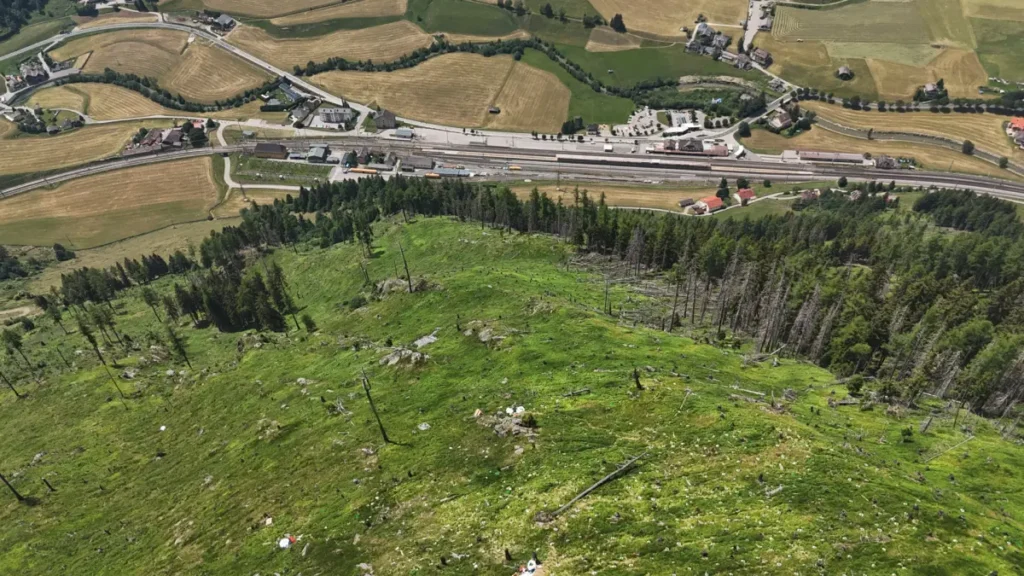 Aufforstungsgebeit Impressionen vom Klimaschutzwald Mallnitz. Aufforstung Elektron Austria & Signify