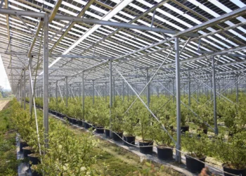 Agri-PV Bodensdorfs erstes Betriebsjahr war ein Erfolg