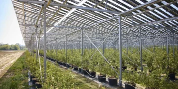 Agri-PV Bodensdorfs erstes Betriebsjahr war ein Erfolg