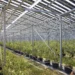 Agri-PV Bodensdorfs erstes Betriebsjahr war ein Erfolg
